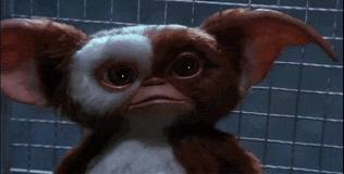 Gizmo!